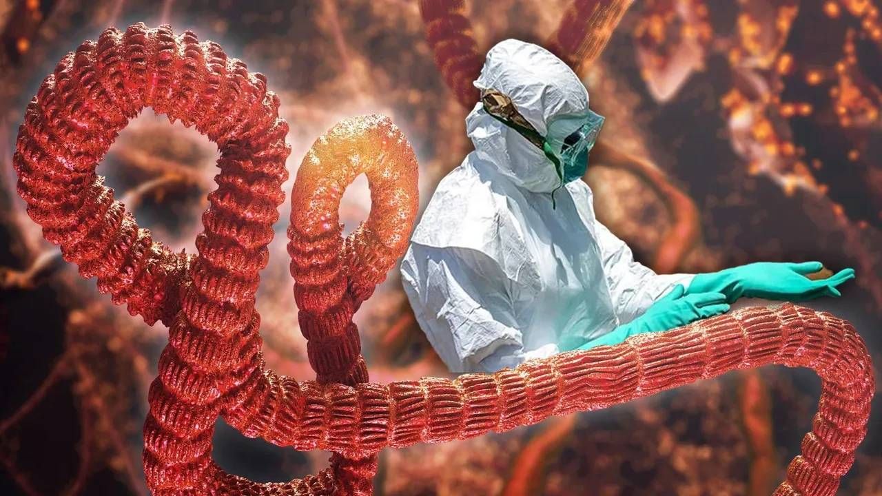 Afrika'dan sonra oraya sıçradı! Avrupa ülkesinde Ebola krizi: Acil durum ilan edildi 4