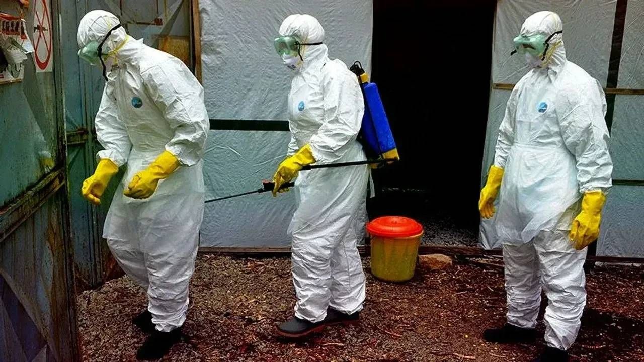 Afrika'dan sonra oraya sıçradı! Avrupa ülkesinde Ebola krizi: Acil durum ilan edildi 2