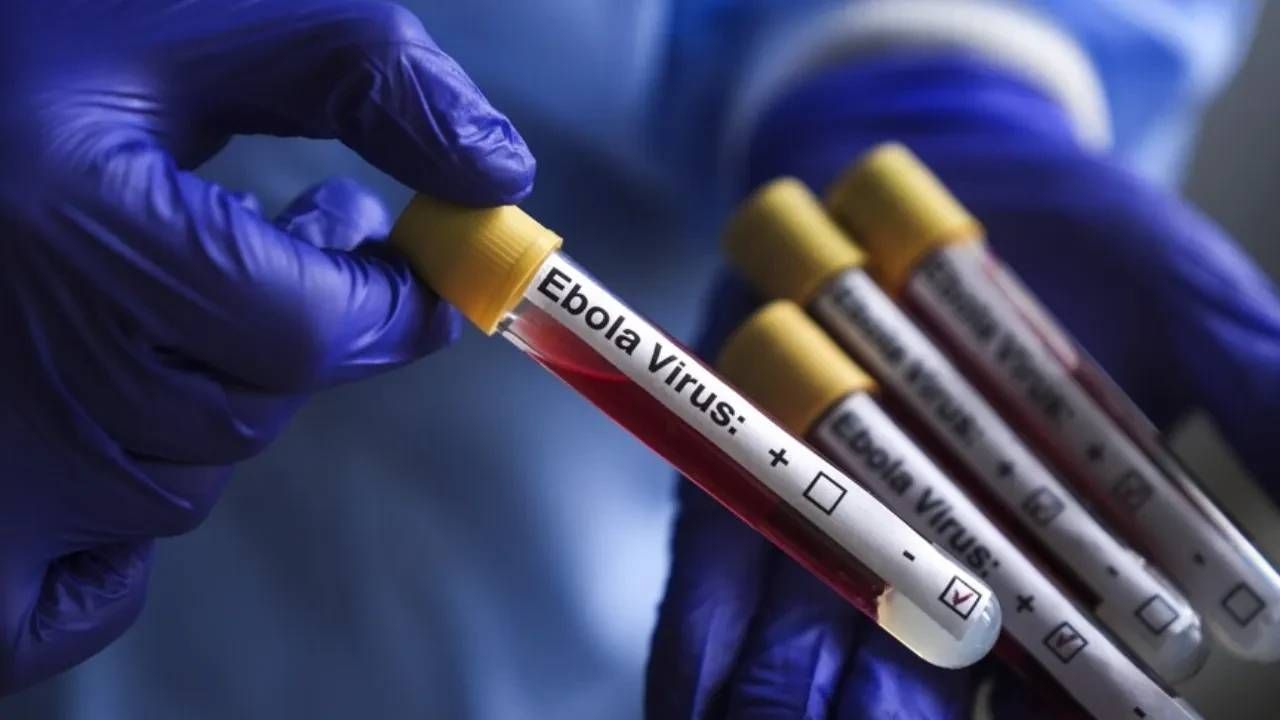 Afrika'dan sonra oraya sıçradı! Avrupa ülkesinde Ebola krizi: Acil durum ilan edildi 3