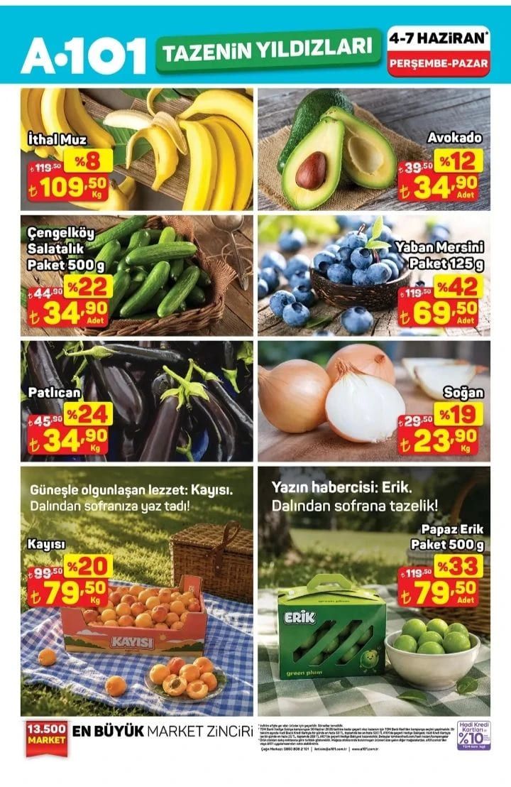 4 Haziran Perşembe A101 Tazenin Yıldızları Kataloğu yayımlandı! 1