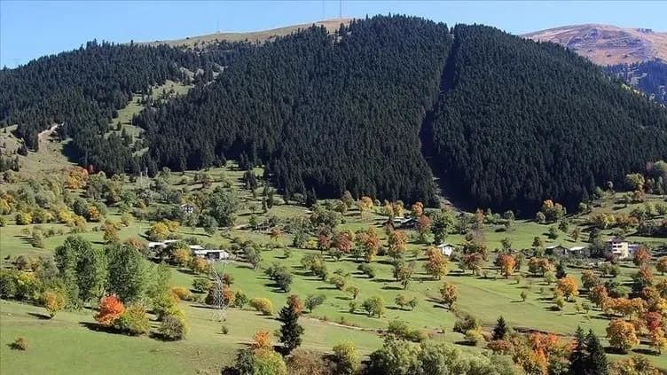 Türkiye'nin en huzurlu 10 ilçesi belli oldu! İşte o ilçeler 2