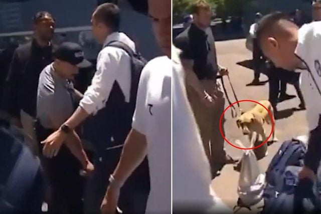 ABD'den 5 ülkeye karşı skandal tavır! Dünya Kupası öncesi K9 köpekleriyle arandılar 11