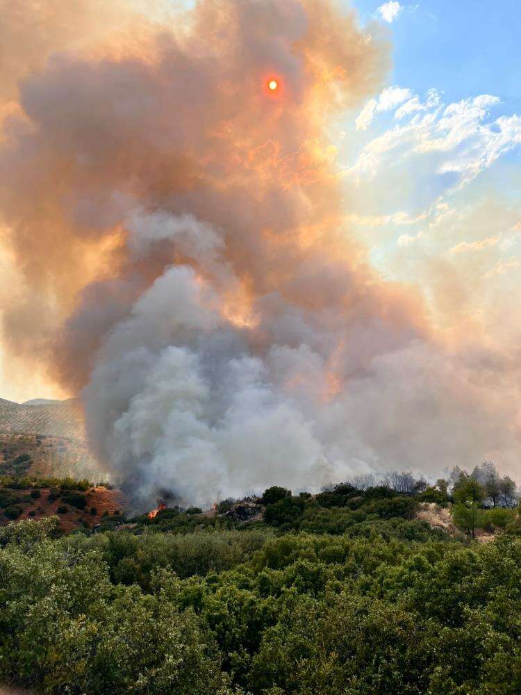 Manisa'da tarım arazisinde çıkan yangın ormana sıçradı: Havadan ve karadan müdahale sürüyor 1