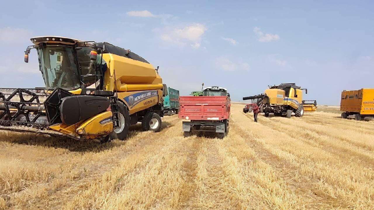 Dünyanın en büyük tarım ülkeleri belli oldu! Türkiye'nin sıralaması dikkat çekti 3