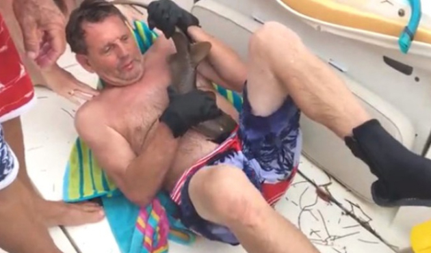 Yüzdüğü sırada karnına köpek balığı saplandı!