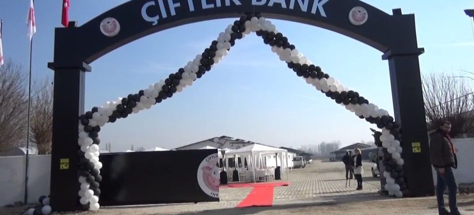 Çiftlik Bank'ın yazılımcısı tutuklandı!