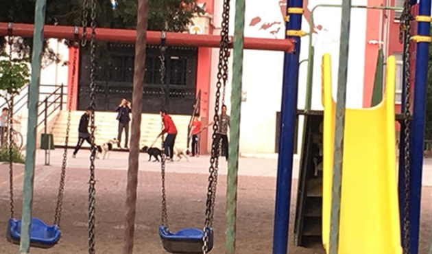 Okul bahçesinde şok görüntü!