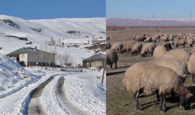 Bir yanı yaz, bir yanı kış olan şehir!