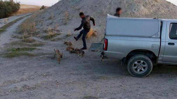 Tekmeleyerek katliam yaptılar! Belediye soruşturma açtı