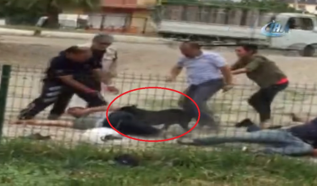 "Saldır" dedi, pitbull polisin kolunu kaptı!