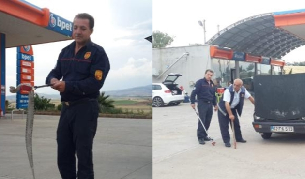 Seyir halindeyken yılanı fark ettiler...