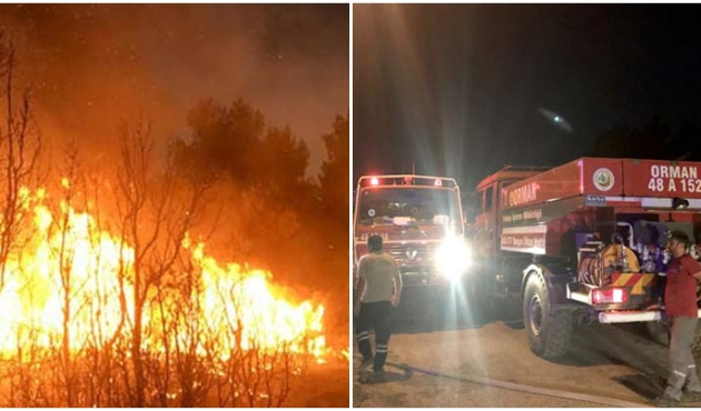 Muğla'da korkutan orman yangını