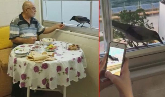 Karga "Mümin" her akşam iftara geliyor!