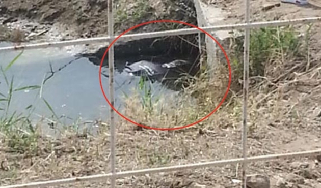 Cesedi bu şekilde bulundu...
