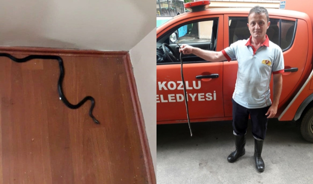 Telefona sarılıp itfaiyeyi aradılar...