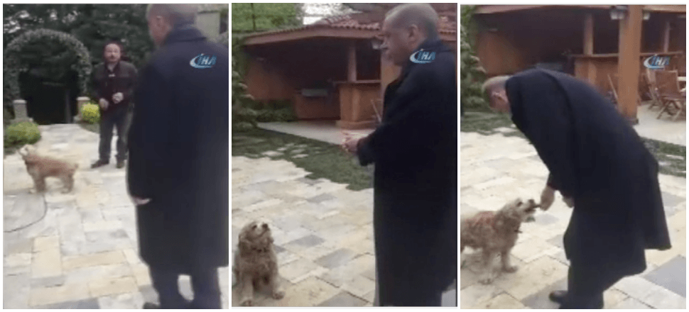 Erdoğan, Çiko'ya tam yiyecek verecekken yaşandı!