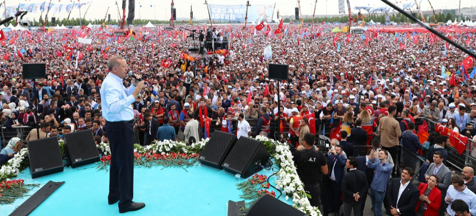 "Adalar'daki atları faytonlardan kurtaracağız!"