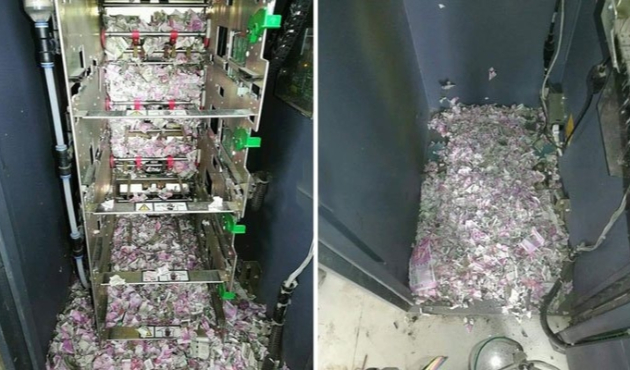 ATM'ye giren fareler paraları yedi...
