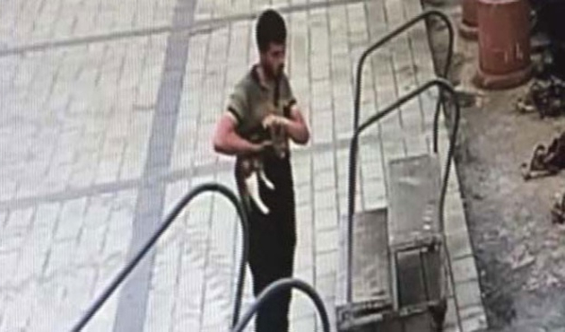Üsküdar'da vahşet! Kediyi kucaklayıp denize attı