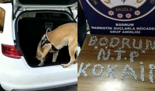 Uyuşturucu tacirleri Molly'den kaçamadı...
