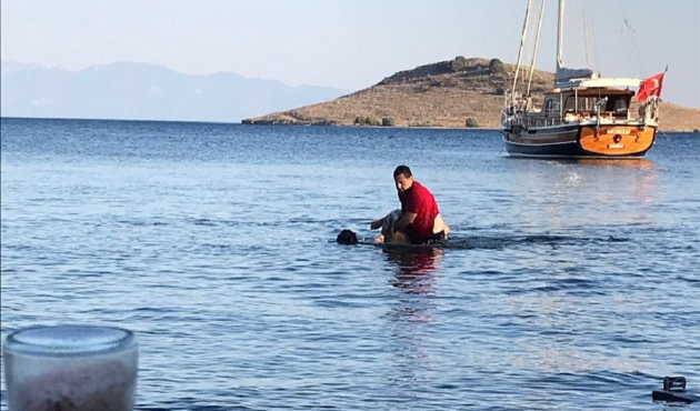 Bodrum belediye başkanı tatilciyi böyle kurtardı!