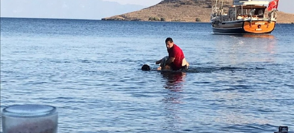 Bodrum belediye başkanı tatilciyi böyle kurtardı!
