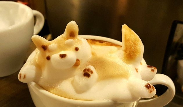 Kahve baristasından gerçekçi kahve köpüğü sanatı!