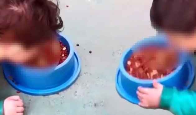 Oğluna köpek maması yedirip dalga geçti!