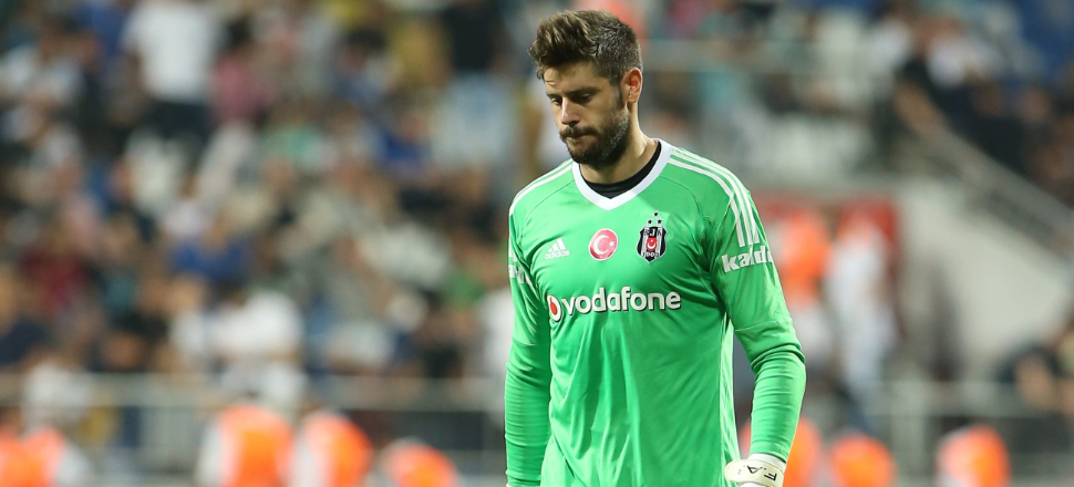 Fabri, Fulham'a transfer oldu!