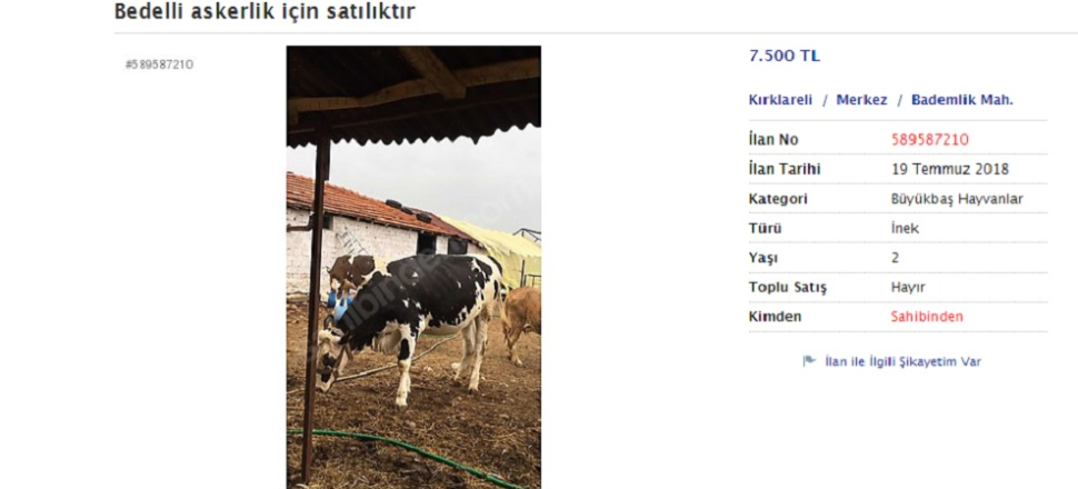 Bedelli askerlik için satılık inek, at, traktör!