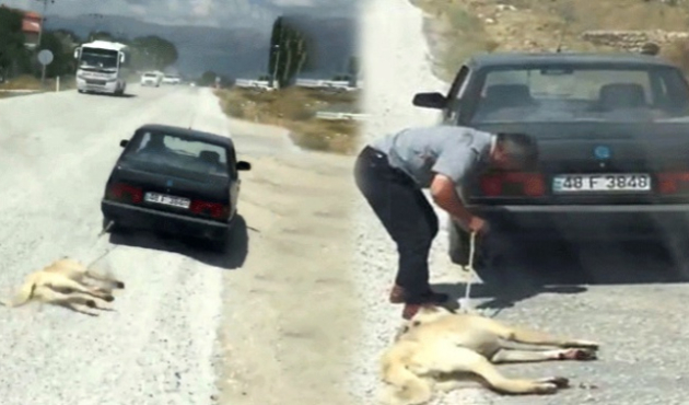 Polis her yerde bu caniyi arıyor!