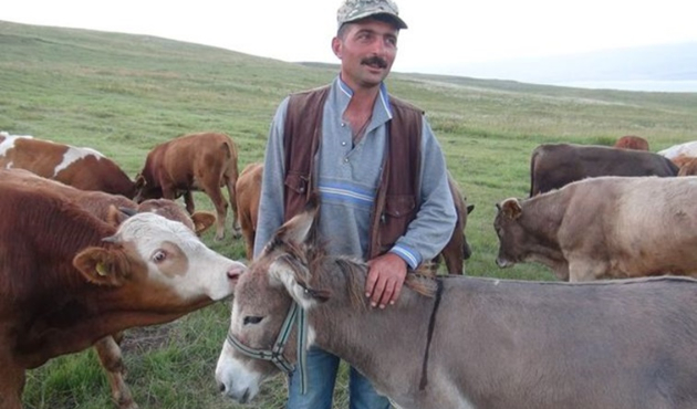 İşkenceye maruz kalan eşekler koruma altında!