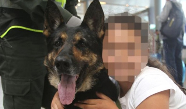 Uyuşturucu çetesi, narkotik köpeği ilanı verdi!