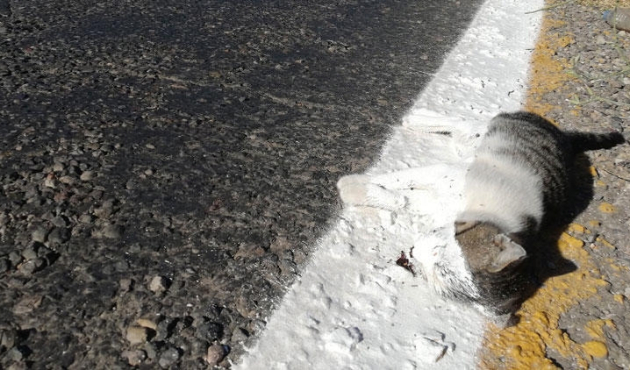 Yol çizgi çalışmasının ardından şok görüntü...