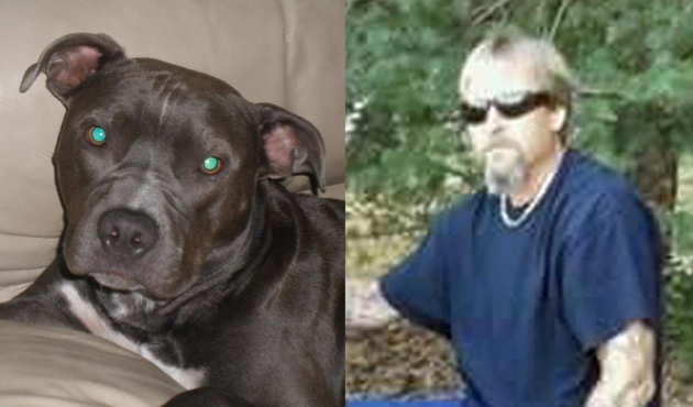 Elini yalayan köpeğinden virüs kaptı!