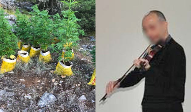 Kenevir yetiştiren müzik öğretmeni yakalandı...