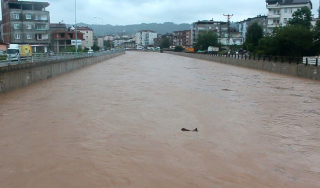 Köprü çöktü! Karadeniz Sahil Yolu ulaşıma kapandı