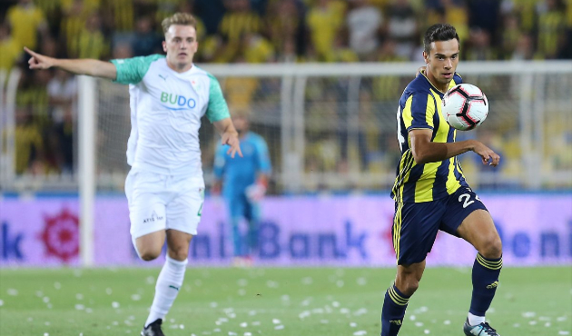 Fenerbahçe-Bursaspor maç özeti