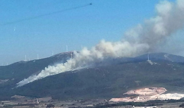Manisa'da orman yangını!