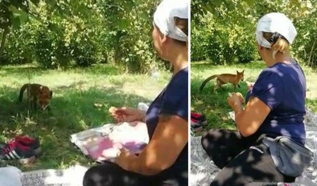 Tilkiye 'Tilkinaz' adını verdi!