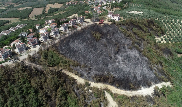 Mudanya'da yanan alanla ilgili harekete geçildi!