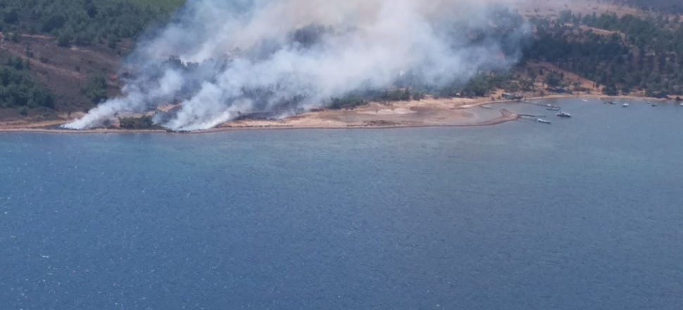 Cunda adası'nda orman yangını çıktı!