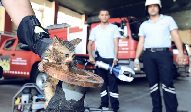Boruya sıkışan kedinin imdadına itfaiye yetişti...