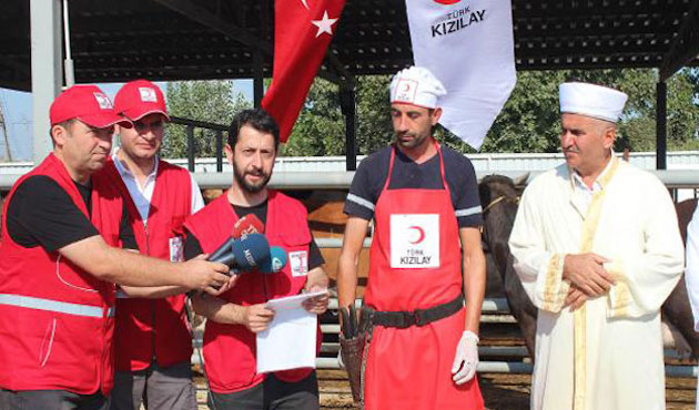 Cumhurbaşkanı Erdoğan'ın vekalet kurbanı kesildi!