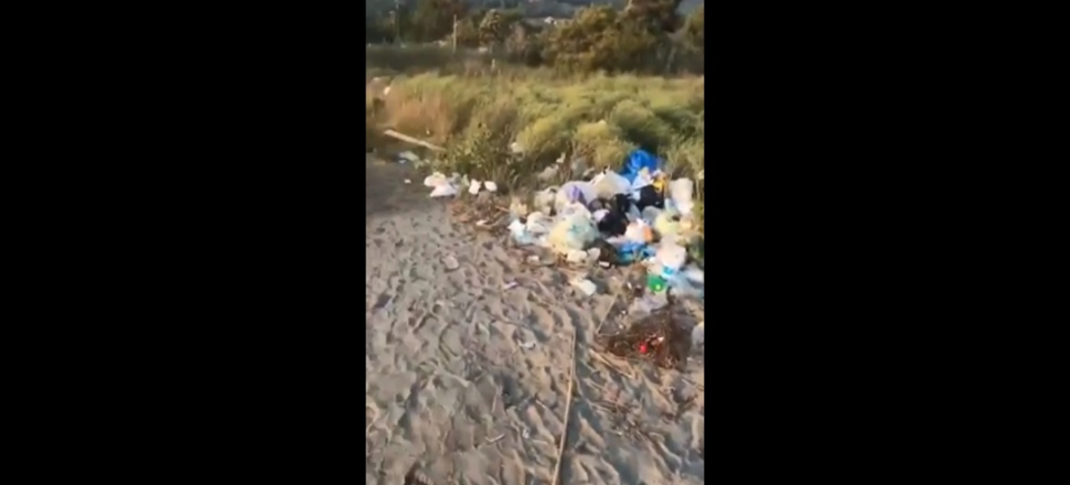 Bayram tatili yine doğa katliamına dönüştü...