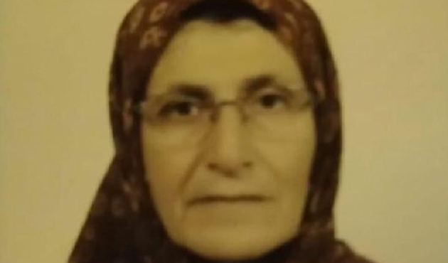 Arıların saldırdığı kadın hayatını kaybetti...