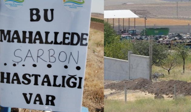 Ankara'da şarbon karantinası...