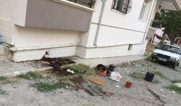Bıçakladı, balkondan attı; hızını alamayıp saksı fırlattı!