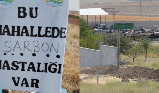 Bakan Pakdemirli inceleme talimatı verdi...