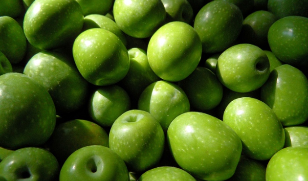 Zeytin ve zeytinyağı ihracatında tarihi rekor!